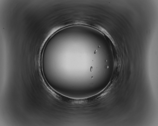 X0000086721339200704131035