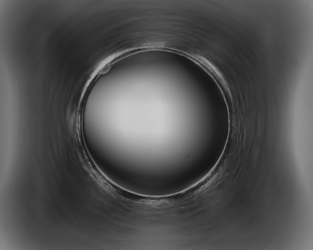 X0000086721340200704131035