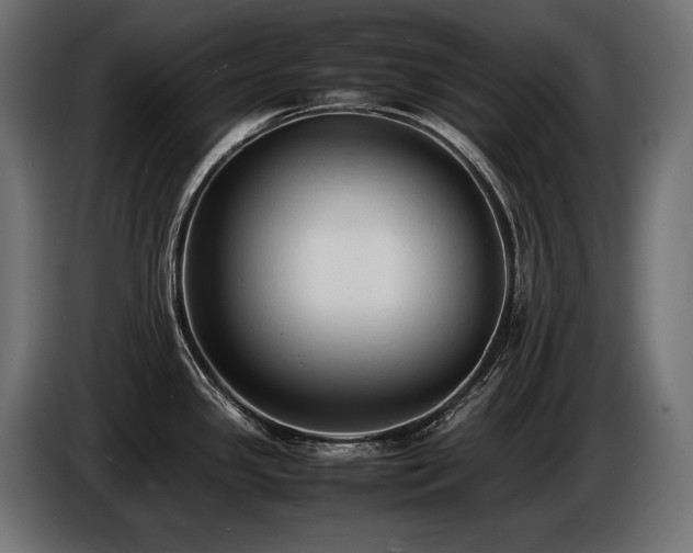 X0000086721341200704131035