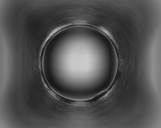 X0000086721342200704131035