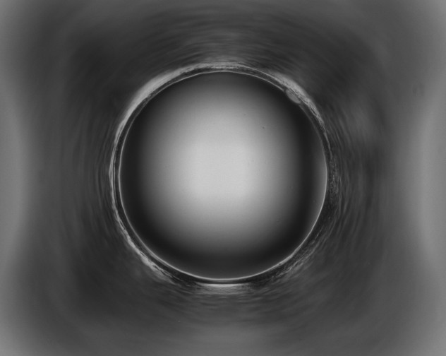 X0000086721343200704131035