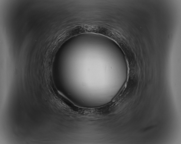 X0000086721345200704131035