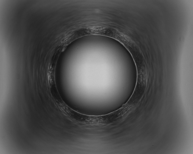 X0000086721346200704131035