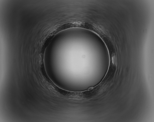 X0000086721347200704131035