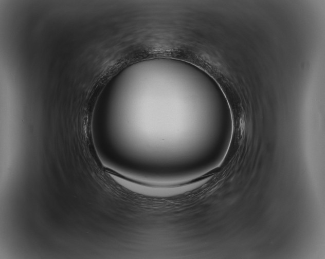 X0000086721348200704131034