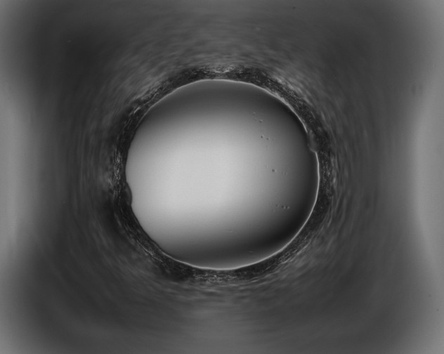 X0000086721349200704131034