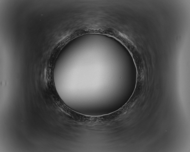 X0000086721350200704131034