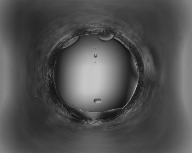 X0000086721351200704131034