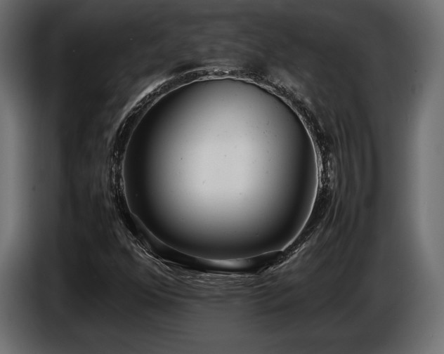 X0000086721352200704131034