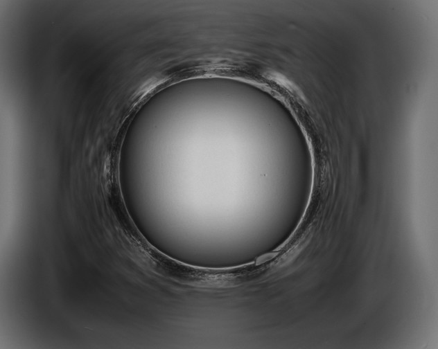 X0000086721353200704131034