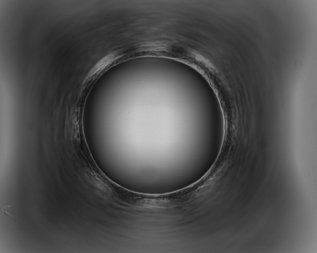 X0000086721354200704131034