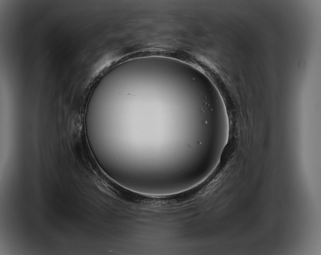 X0000086721355200704131034