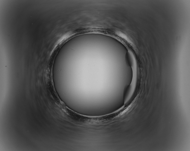 X0000086721357200704131034