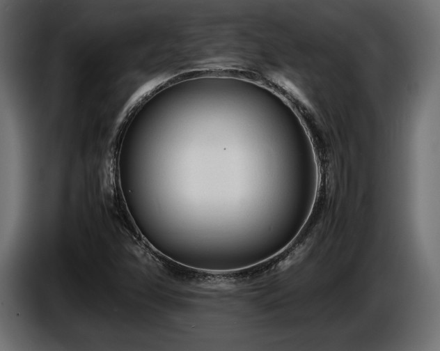 X0000086721358200704131034