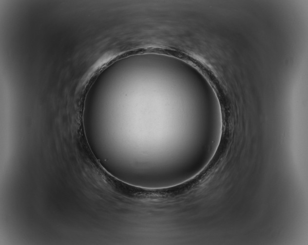 X0000086721359200704131034