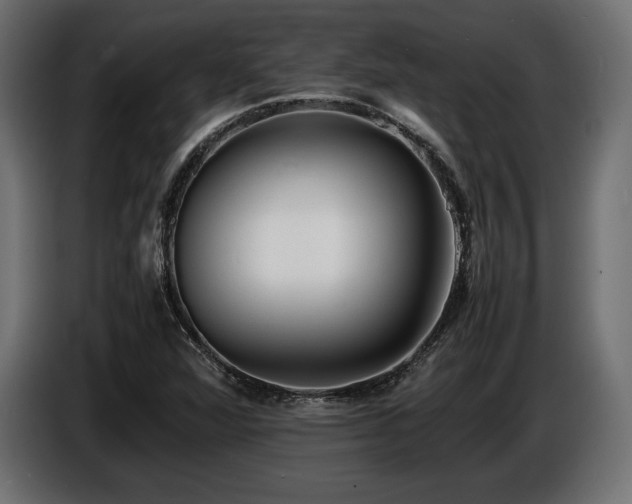 X0000086721360200704131034