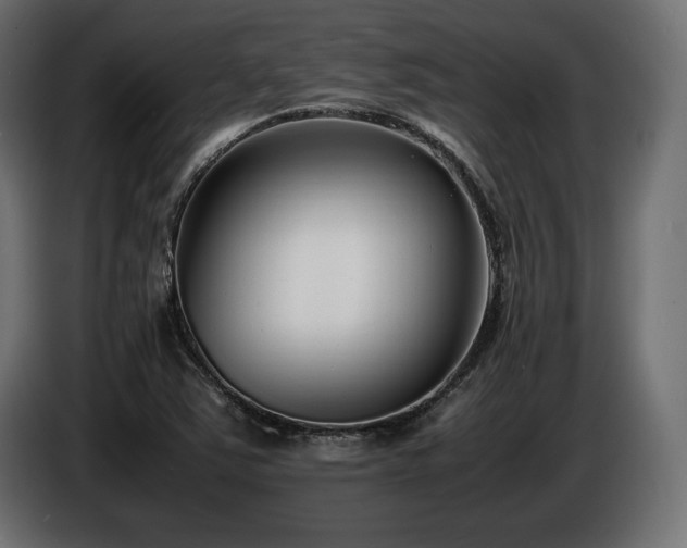 X0000086721363200704131034