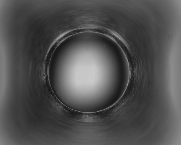 X0000086721364200704131034