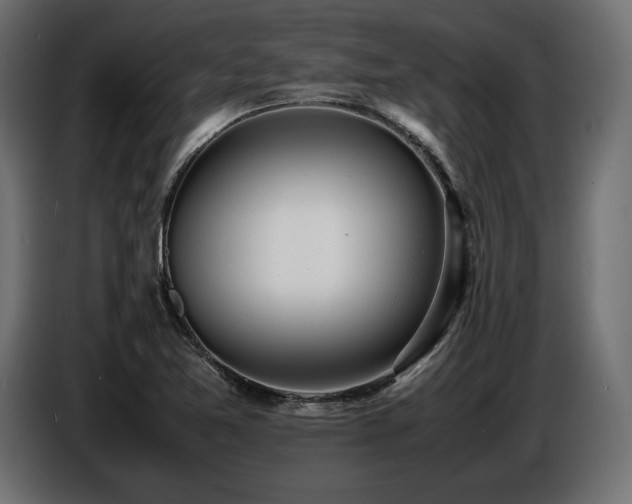 X0000086721365200704131034
