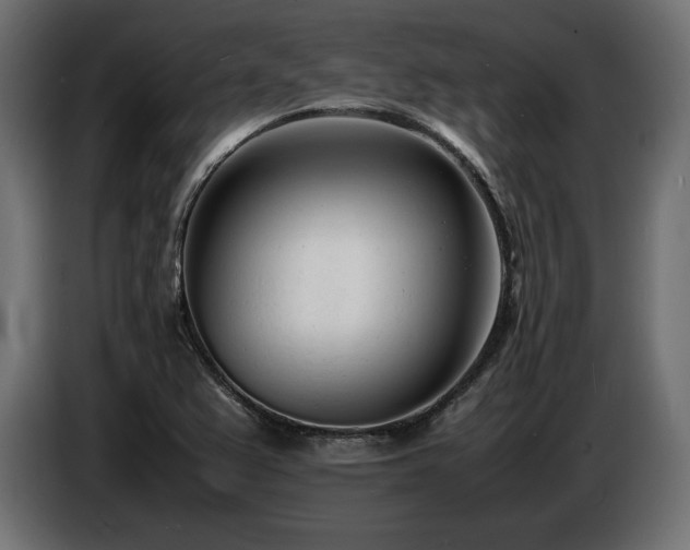 X0000086721367200704131034