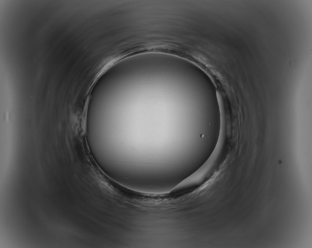 X0000086721369200704131034