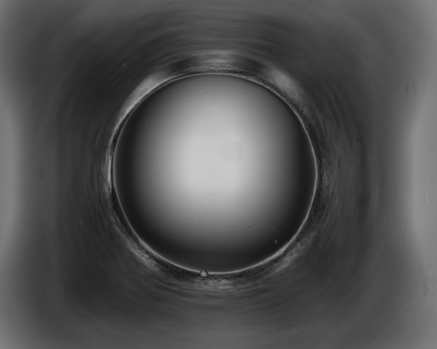 X0000086721370200704131034