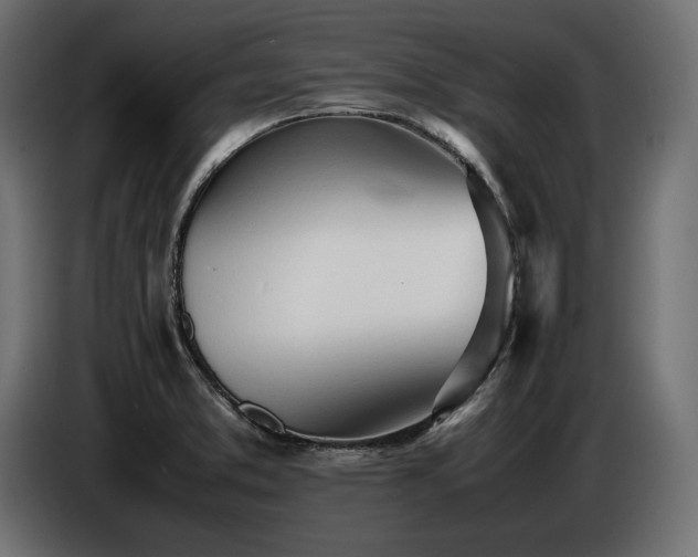 X0000086721373200704131034