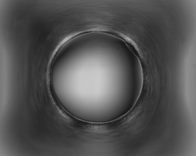 X0000086721375200704131034