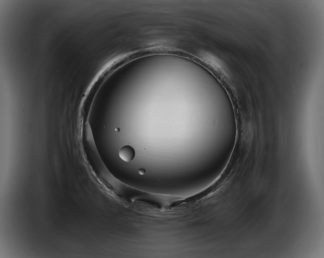 X0000086721376200704131034
