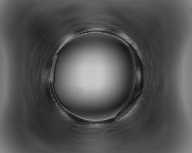 X0000086721377200704131034