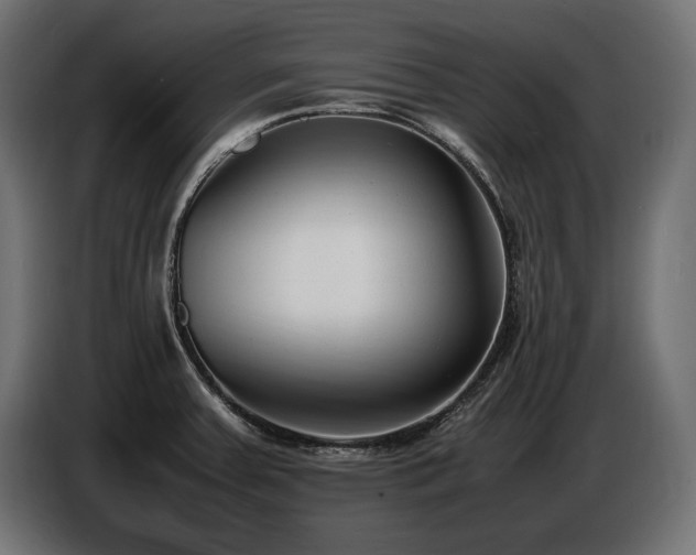 X0000086721379200704131034