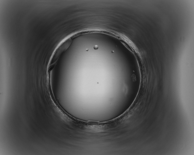 X0000086721380200704131034