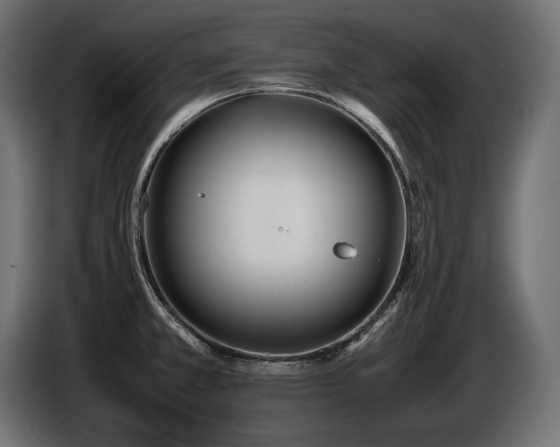 X0000086721381200704131034