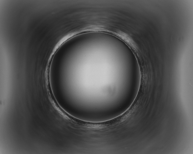 X0000086721382200704131034