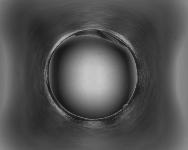 X0000086721383200704131034