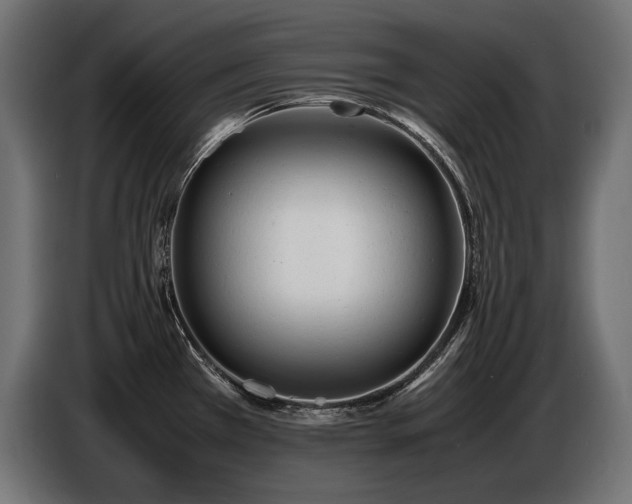X0000086721385200704131034