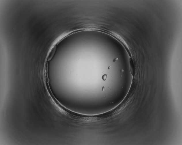 X0000086721387200704131034