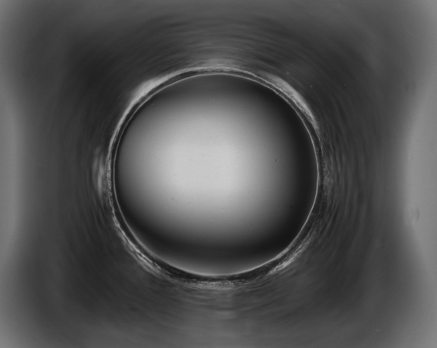 X0000086721388200704131034
