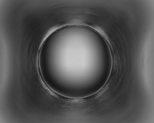 X0000086721390200704131034