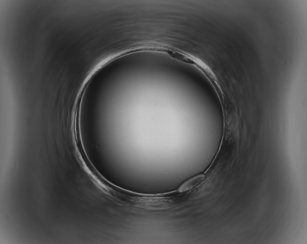 X0000086721391200704131034