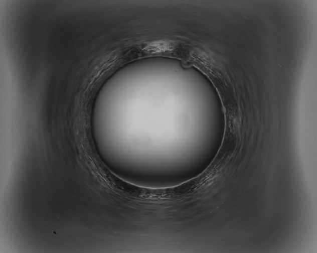 X0000086721393200704131033