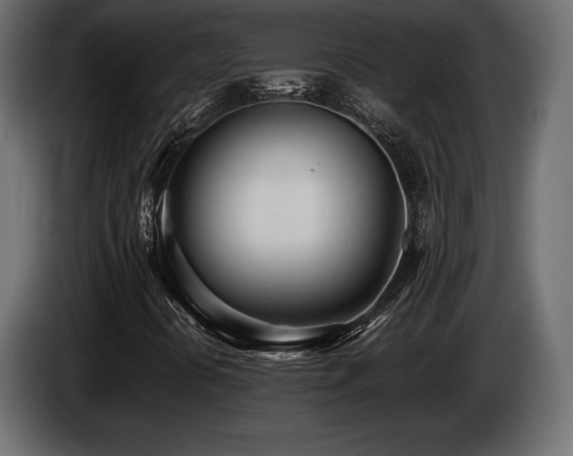 X0000086721394200704131033