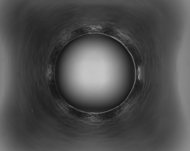 X0000086721395200704131033