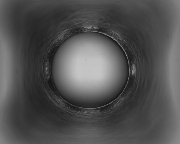 X0000086721396200704131033