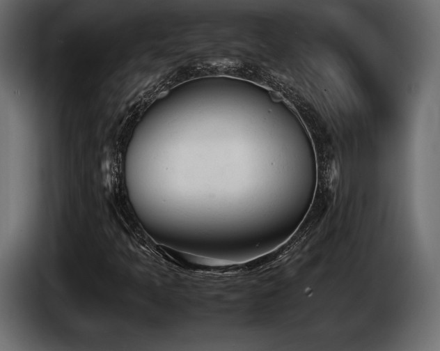 X0000086721397200704131033
