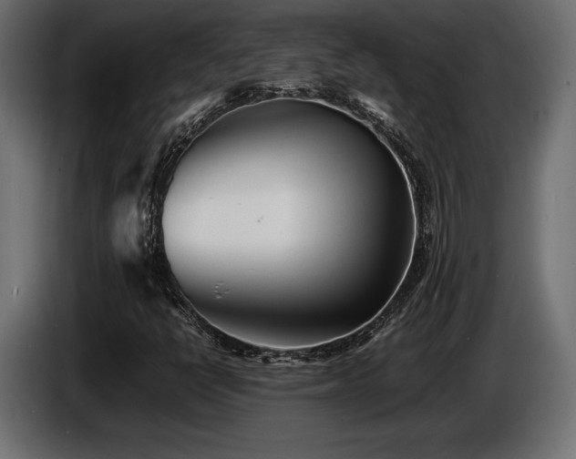 X0000086721398200704131033