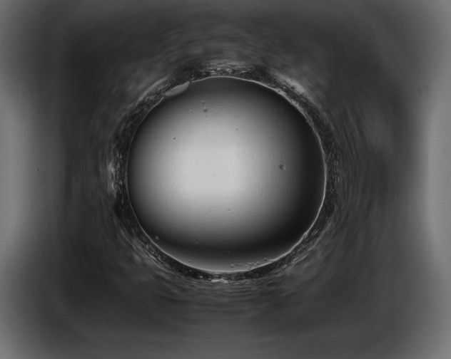 X0000086721399200704131033