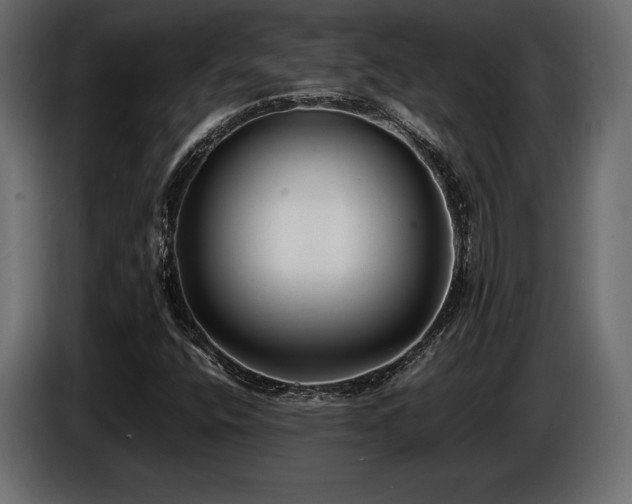X0000086721400200704131033