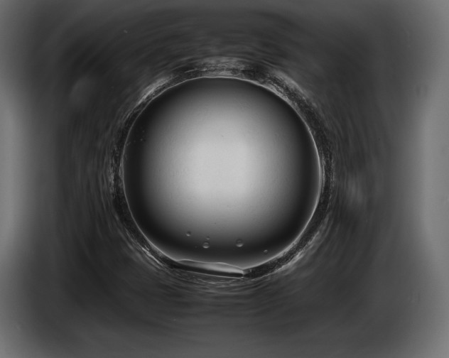 X0000086721401200704131033