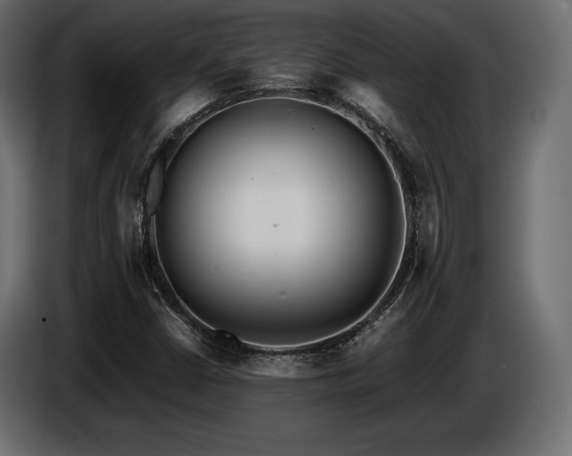 X0000086721402200704131033